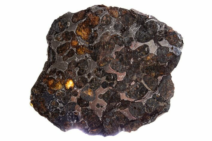 Polished Sericho Pallasite Meteorite ( g) Slice - Kenya #300773